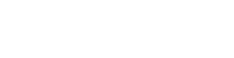 Wing Foil Rental